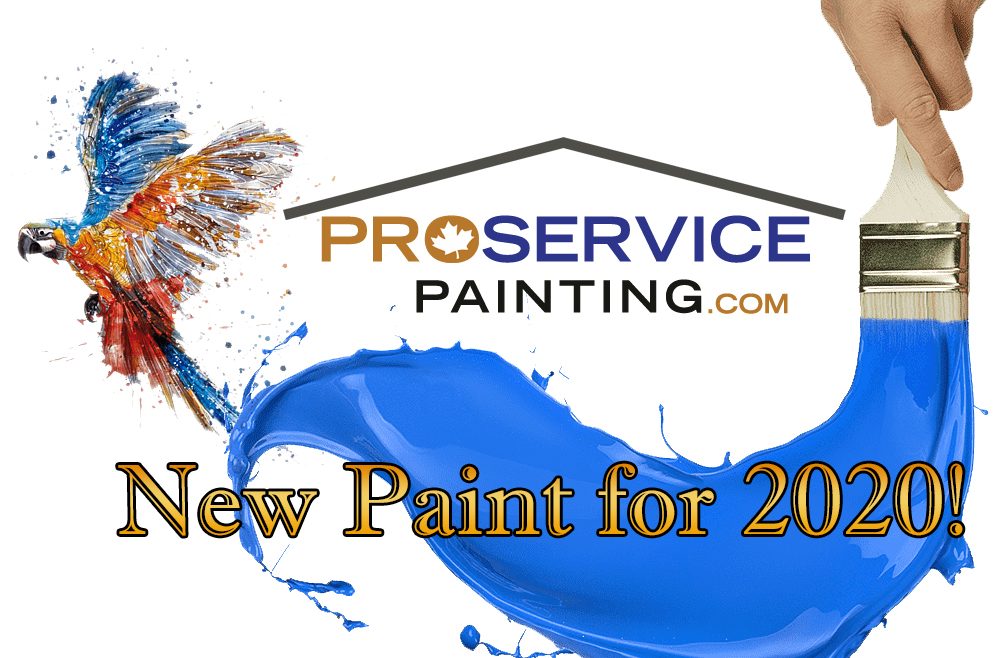 New Paint for 2020!